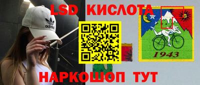 шишки Бийск