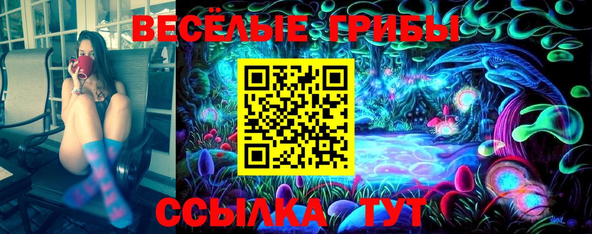 Псилоцибиновые грибы мицелий  где купить   Вход с VPN  Зеленокумск  Псилоцибиновые грибы мицелий 