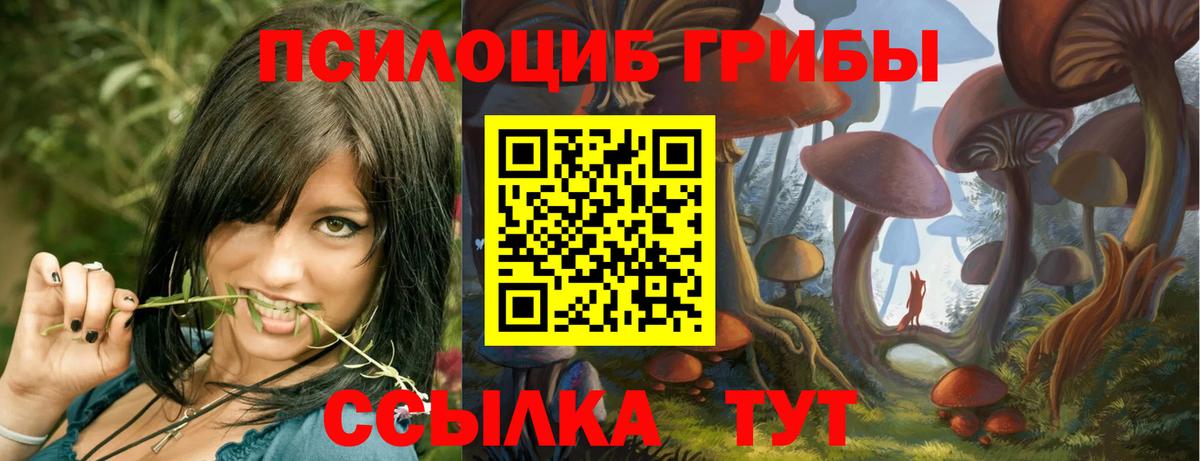 Галлюциногенные грибы мицелий Зеленокумск